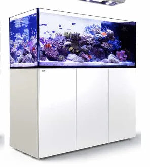 Red Sea Reefer Peninsula P650 650 Litre Aquarium White - Amazing Amazon